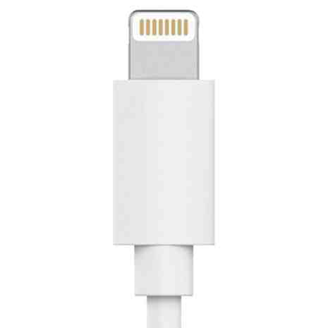 FREE 6ft Cheeky Cable